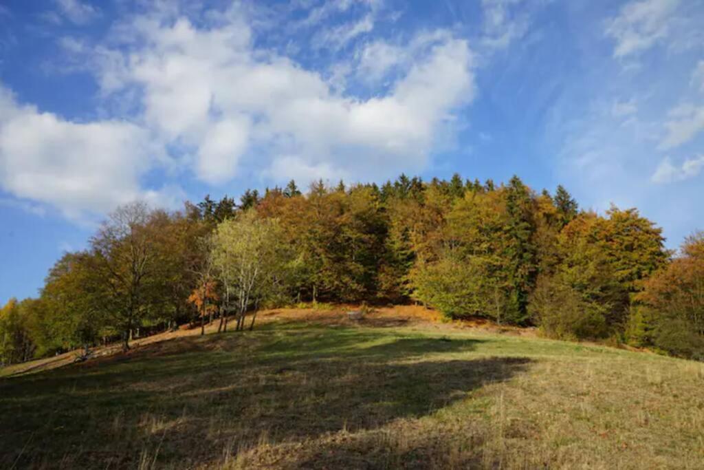Ruhiges Ferienhaus Am Waldrand Mit Sauna Und Kamin - Hellaberg II Langenbach  Exterior photo